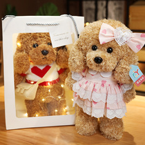Teddy Dog DIY dressed plush toy simulation dressing girl heart birthday gift bed accompanying sleeping puppy