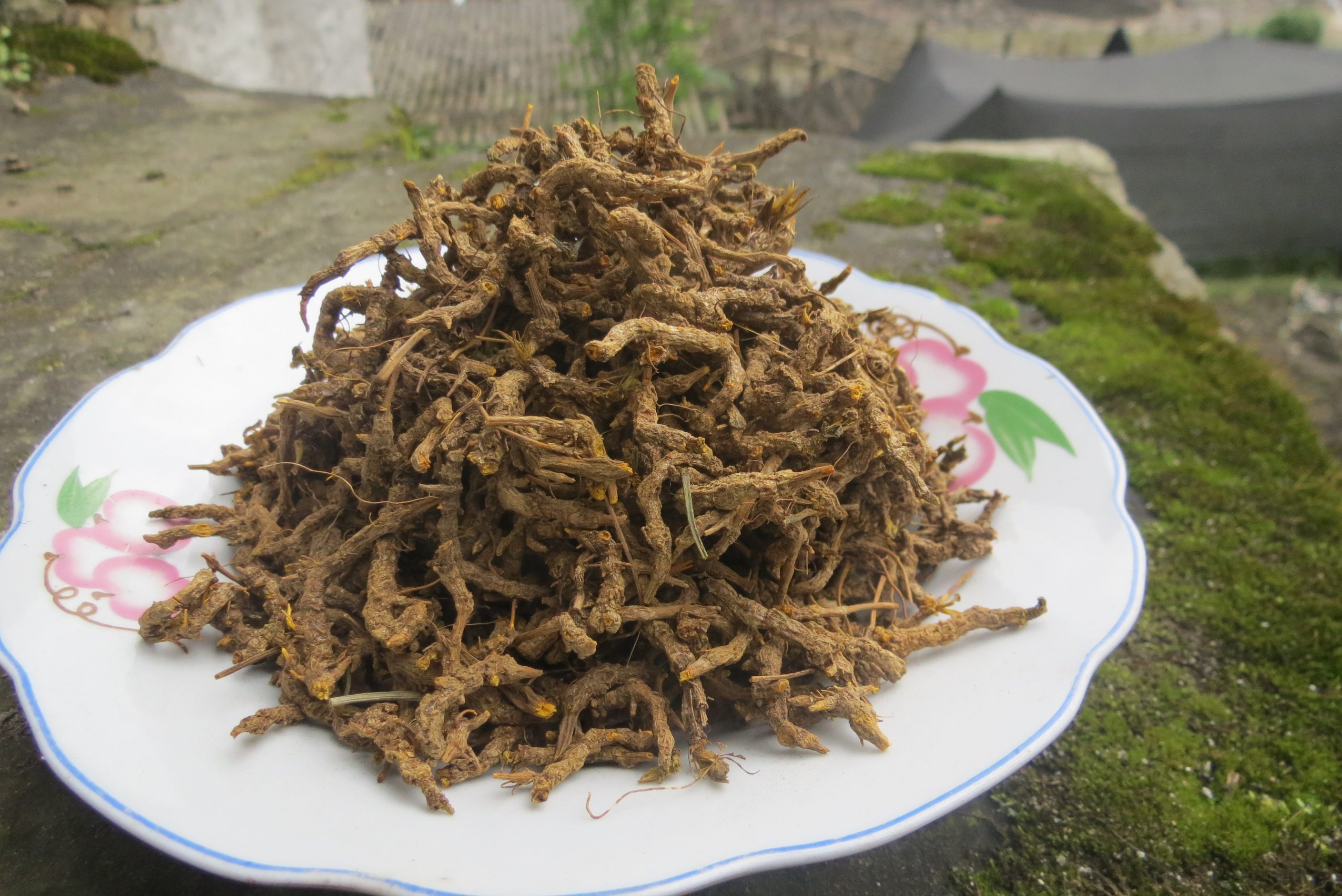 黄连野生干货云南怒优质黄连中材无公害250g