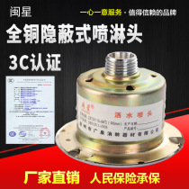 ZSTDY fire sprinkler Hotel sprinkler Fire sprinkler Concealed sprinkler Concealed sprinkler Dark spray