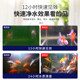 Fish tank water purifier water quality clarification agent aquarium stability clear liquid clean water purification treasure products purification sterilization Fish tank water purifier water quality clarification agent aquarium stability clear liquid clean water purification treasure products purification sterilization