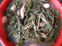 Guizhou farm radish sauerkraut salt-free original Freshwater sauerkraut Radish sauerkraut 500g shoot 4 kg