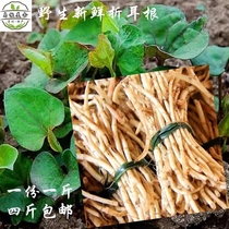 Guizhou specialty fresh ear root Houttuynia 500g