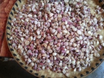 Guizhou specialty purple garlic Fresh red garlic pesto garlic head 500g