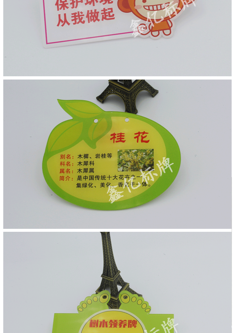 花草牌亚克力树牌植物绿化标识志牌树木介绍挂牌木广告牌定制做