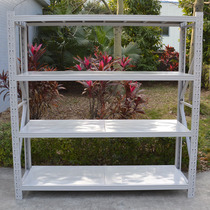 Shenzhen shelf storage warehouse warehouse heavy metal hardware shelf light medium clothing household rack display rack