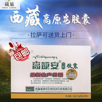 Tibetan plateau An capsule Plateau Kang Rhodiola oxygen-carrying tablets Blue Yang tablets acute hyperreflection 2