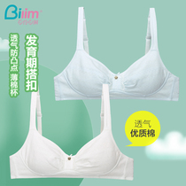 Girly bra Junior high school high school student 13-14-15-16-17-year-old developmental underwear Adolescent bra