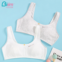 New girls underwear Small vest Female junior high school students High school students without rims Cotton puberty bra during development