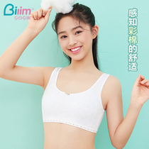 Development small vest Female student girl underwear Big child 9-12 girls primary school junior high school students 16-year-old girl bra