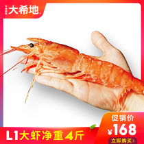 (Daxidi) Imported Argentine red shrimp (L2) Special price only Jiangsu Zhejiang and Shanghai pro-period products mind do not shoot