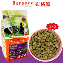 Imported Spot Burgess Buggs 2KG Original black currant guinea pig grain high fiber staple food