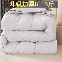 10 Catty 18 18 Thickened Winter Warm Quilt Full Cotton Quilt Core Spring Autumn Single Double Winter Dormitory Feather Velvet Quilted Bedding