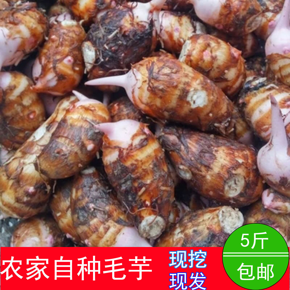 农家香芋红梗芋艿种子特产红芽毛芋新鲜蔬菜小芋头5斤毛芋头包邮