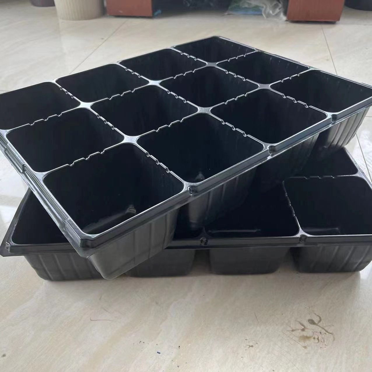 12孔育苗盘穴盘草莓苗木花卉园艺扦插容器林木育苗盆