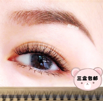 River Horse Family Icon Gold Case Japan Grinding single plant Grafting Fake Eyelash Single Cluster Planting Eyelash Thick and Natural