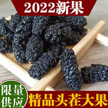 Xinjiang dried mulberry 2022 new goods black mulberry premium dried mulberry flagship store official tea Chinese medicine mulberry dried fruit