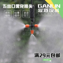 Five outlet atomization micro-spray head can spray garden automatic adjustable gardening cooling suspension nozzle
