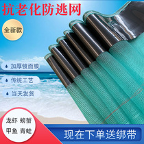 Small Lobster Anti-Escape Network Set For Shrimp Pond Lobster Crab Frog Puree Breeding Anti-Escape Nets Thickened Anti-Escape Cloths