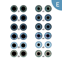 (Memeballs CASMO) blythe small cloth eye piece of cloth eye sheet custom live-action wind glass eye sheet Ee group