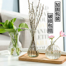 Transparent glass vase living room ornaments fresh personality simple modern creative flower arrangement bottle hydroponic plant container
