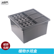 Plant Hydroponic Box Laboratory Breeding Box Black Photophobic 6 Holes 96 Holes Wheat Rice Cultivating Box