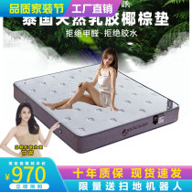 Schdream Latex Mattress thickened Coconut Palm Mattress SOFT AND HARD USE 1 8M DOUBLE MATTRESSES 1 5 m ADULT MATTRESSES
