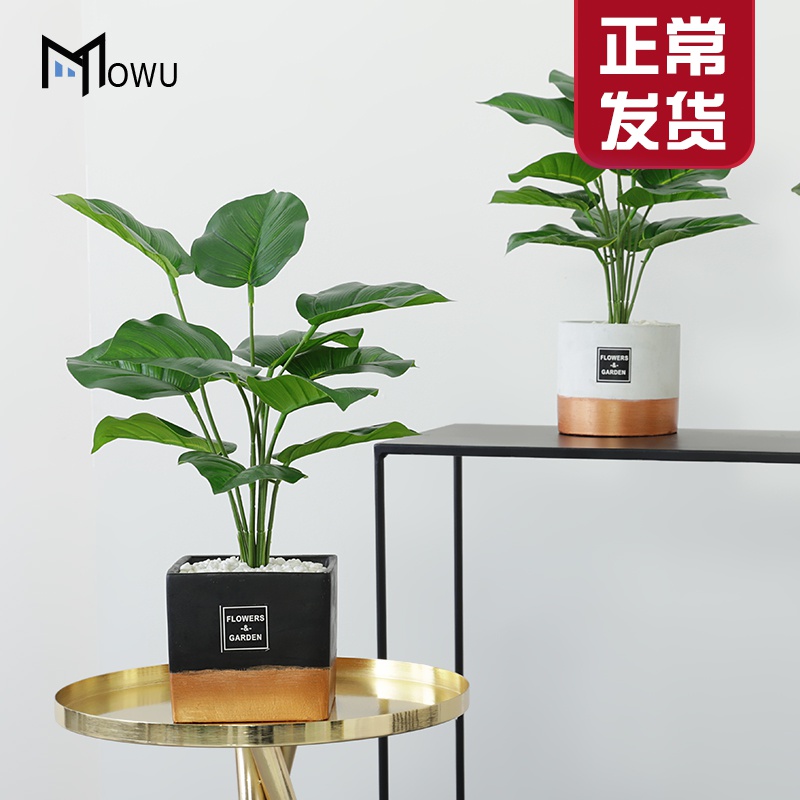 The house ins creative interior gold - plated ceramic simulation The plants potted Nordic style green plant adornment furnishing articles in The living room