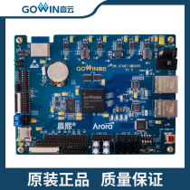 DK_START_GW2A-LV55PG484C8I7_V1 3 Gowin FPGA development chip low power consumption