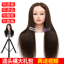 Head model full real hair apprentice training can be hot dyed cut plate hair braided hair hair doll head dummy head practice model head