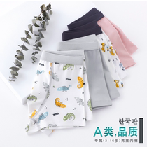 next alice childrens underwear Boys flat triangle four corners cotton shorts big boy baby does not clip pp