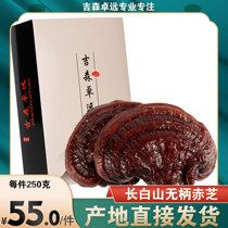 Changbai Mountain Sessile Red Zhi Imitation Wild Semi-wild Ganoderma Lucidum Pruned Ganoderma Lucidum Linzhi 250g