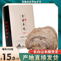 Changbai Mountain wild wood hoof layer hole bacteria Wild wood hoof ganoderma lucidum guarantee 2 pieces