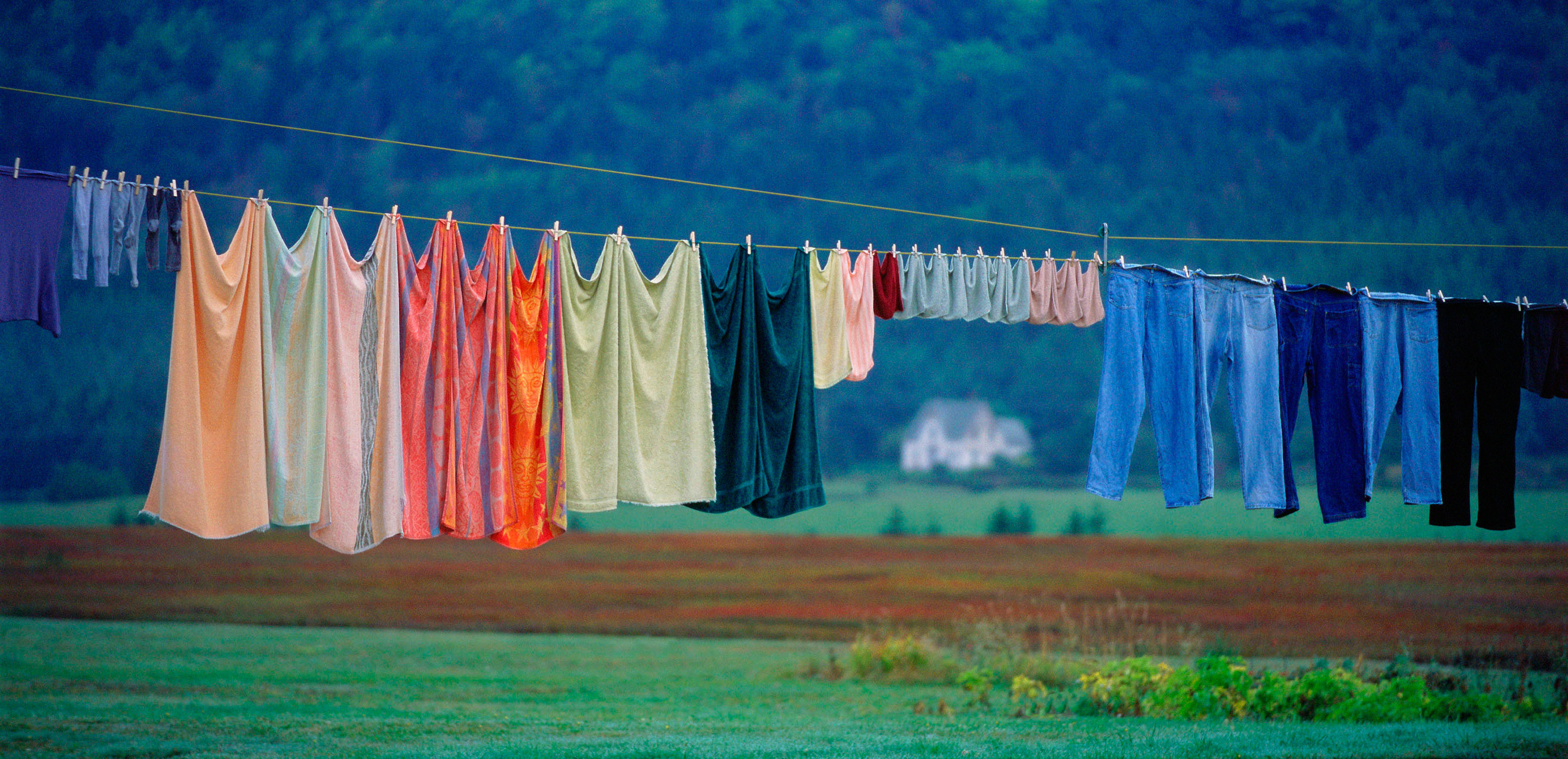 衣服长蘑菇?这样做衣物干爽如新