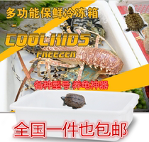 Plastic frozen basin Refrigerated basin turtle tank Large turtle box White breeding box sun table aquarium turtle box