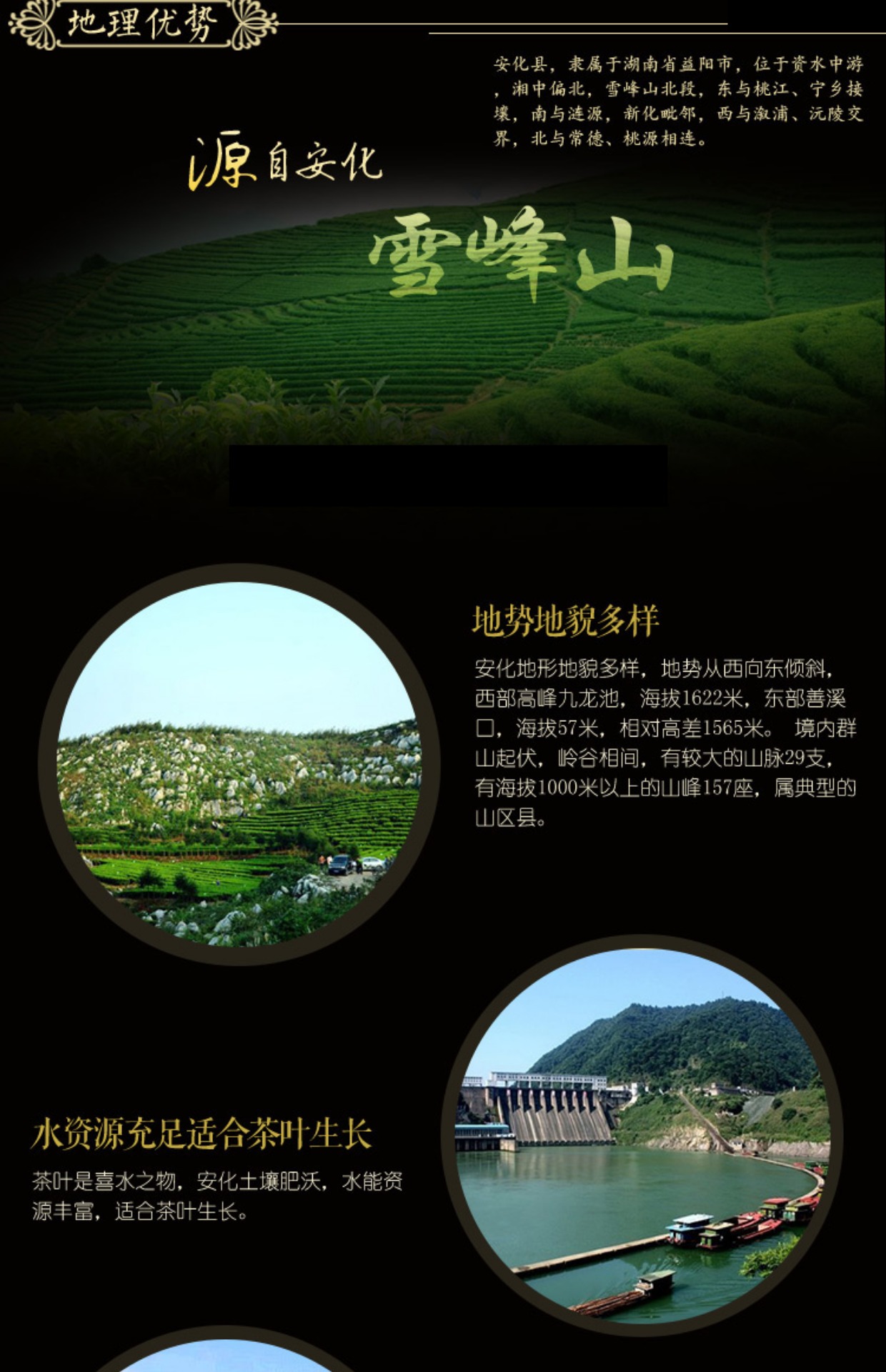 华莱健正品湖南安化黑茶优质千两茶优惠推荐