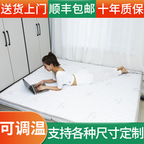 Tatami bed mat bedroom stepping rice Kang mat coconut palm household collapsed rice folding custom