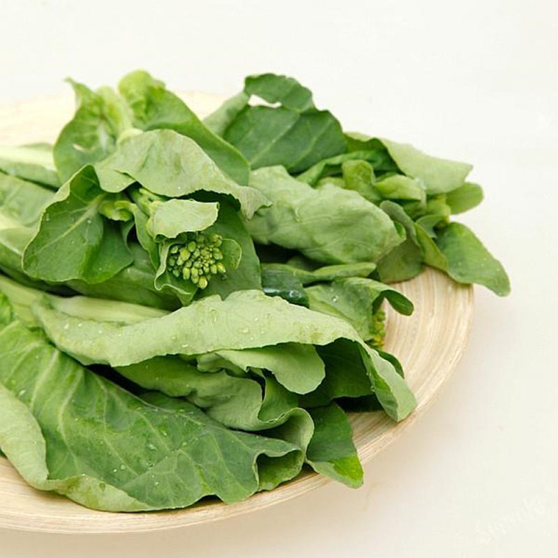 5斤装包邮 新鲜绿菜苔 白菜苔 农家现摘时令蔬菜 有机菜苔