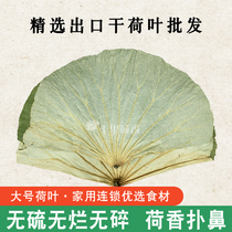 Large whole piece of dried lotus leaf tea lotus leaf lotus leaf can be cooked steamed rice guinea fowl flower chicken bubble 30