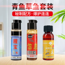 Herring grass carp small Medicine set pheromone fishy treasure sweet corn crucian carp tilapia black pit wild fishing set