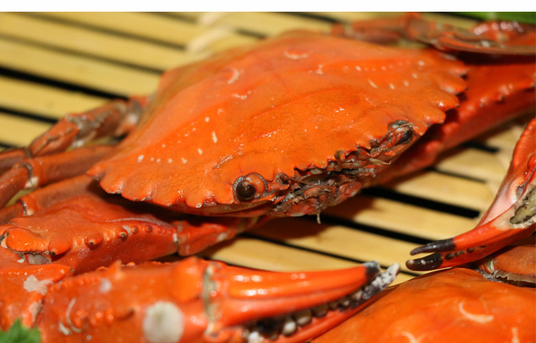 大连市庄河赤甲红鲜活螃蟹 海蟹 石甲红 青蟹 梭子蟹两斤顺丰包邮