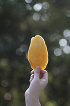 Two catty fresh fruit now made with cooked mango sour and yellow mango dry only mango and sugar without it