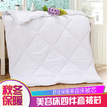 Massage bedspread with spring and autumn quilt core thickened winter quilt beauty bed quilt beauty quilt core White