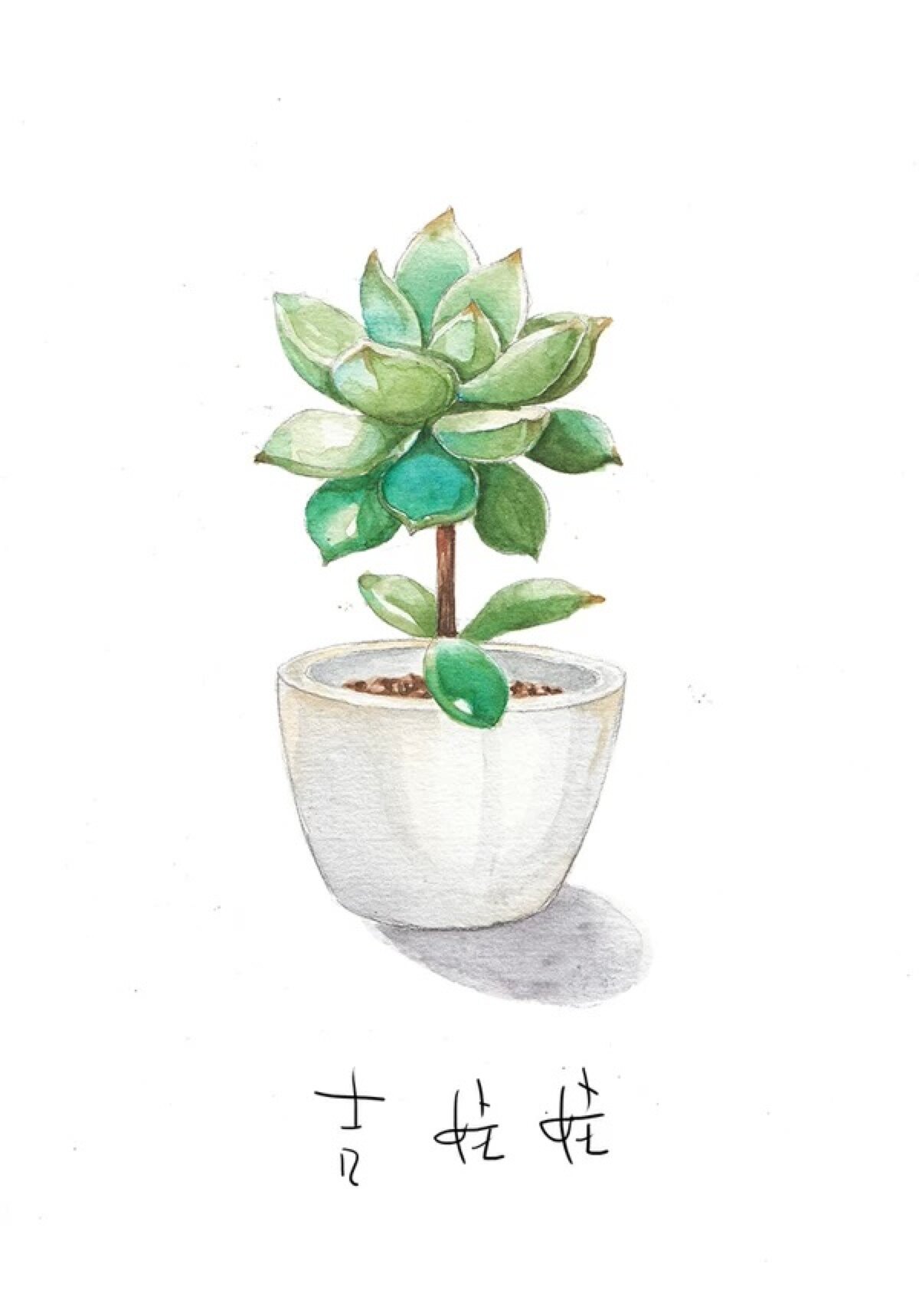 画上的多肉!手绘图大赏,每张都想拿来当屏保!