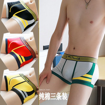Huajielong mens underwear cotton boxer mid-waist large size boxer breathable color matching personality pants summer