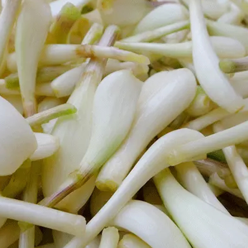 新鲜带叶荞子荞头赣南特产天然农家自种新鲜蔬菜藠头茭头