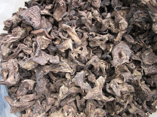 天然野生特级黑虎掌菌干货云南特产野生蘑菇煲汤味香500克包邮