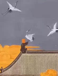 Стеклянные заварочные чайники De Xin GE Стеклянные заварочные чайники De Xin GE