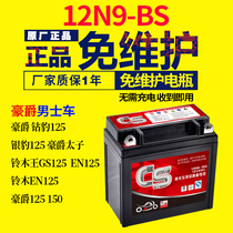 Motorcycle battery 12n9 maintenance-free 12v universal dry battery Suzuki King 125 diamond Leopard Prince Hao battery Jue