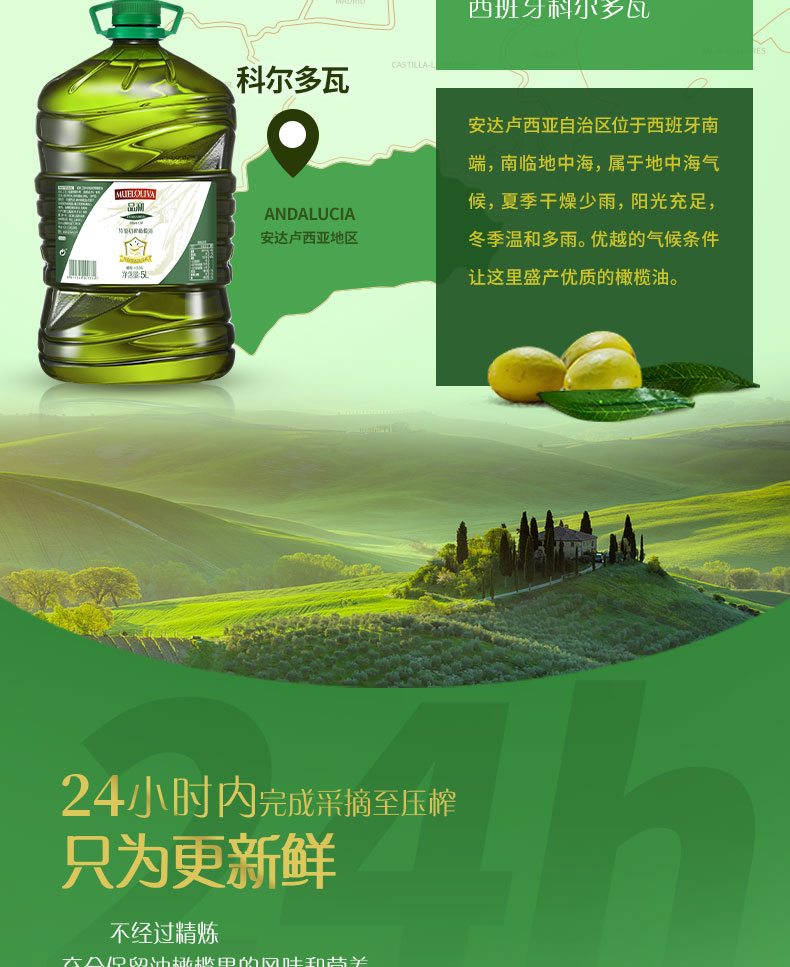 【品利】西班牙原装进口橄榄油5L桶