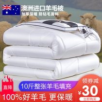 Wool Quilt 100% Pure Wool Quilt Winter Padded Lamb Fleece Warm Cotton Quilt Single Student Dorm Kids